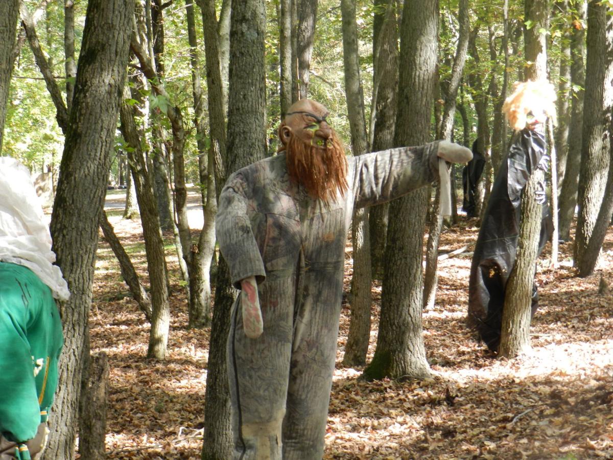 Experience Halloween at the Haunted Woods in Bridgetown Queen Annes