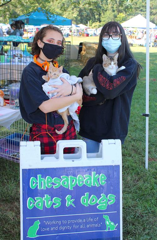 Student volunteers help pets find 'fur-ever' homes