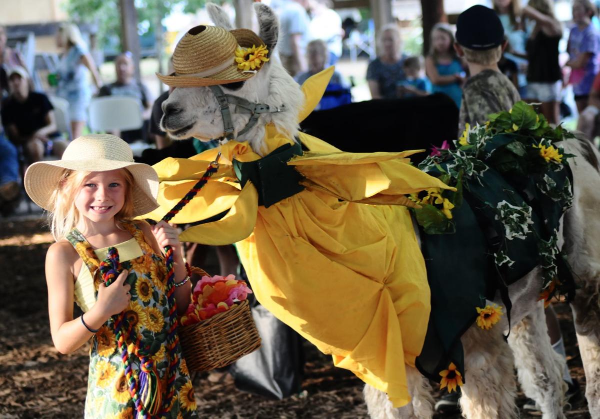 Contest crowns fairest of them all | News ...