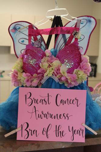 Walk the Walk - A bra decorating fundraiser you say? This year's