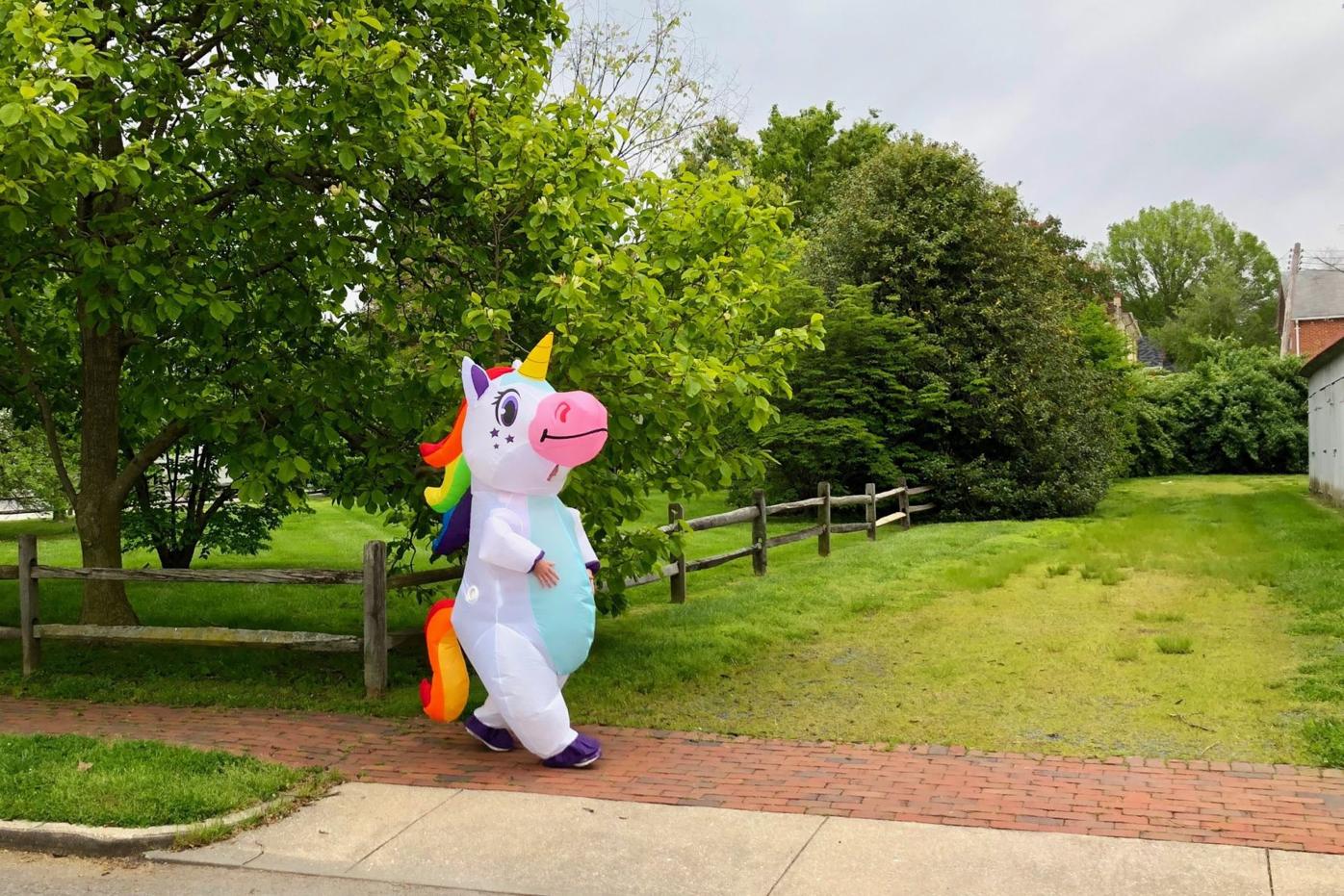 Magical spring stroll