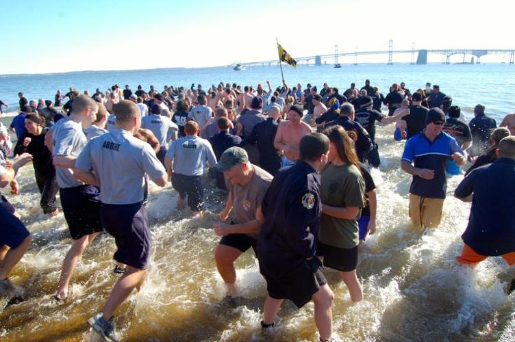 MSP Polar Bear Plunge News