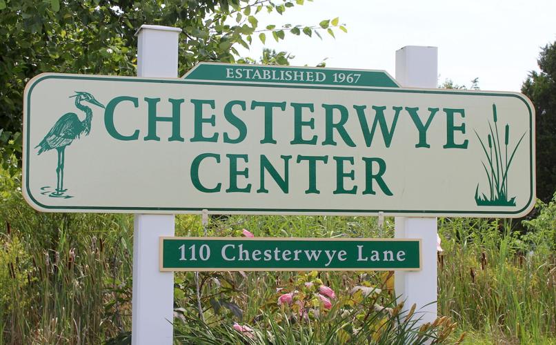 Langseth new executive director at Chesterwye Queen Annes County
