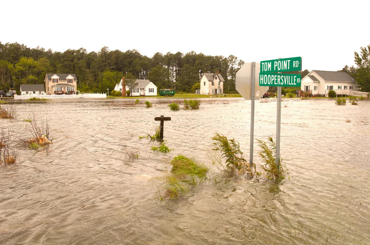 Sea level rise film 'High Tide in Dorchester' screened News