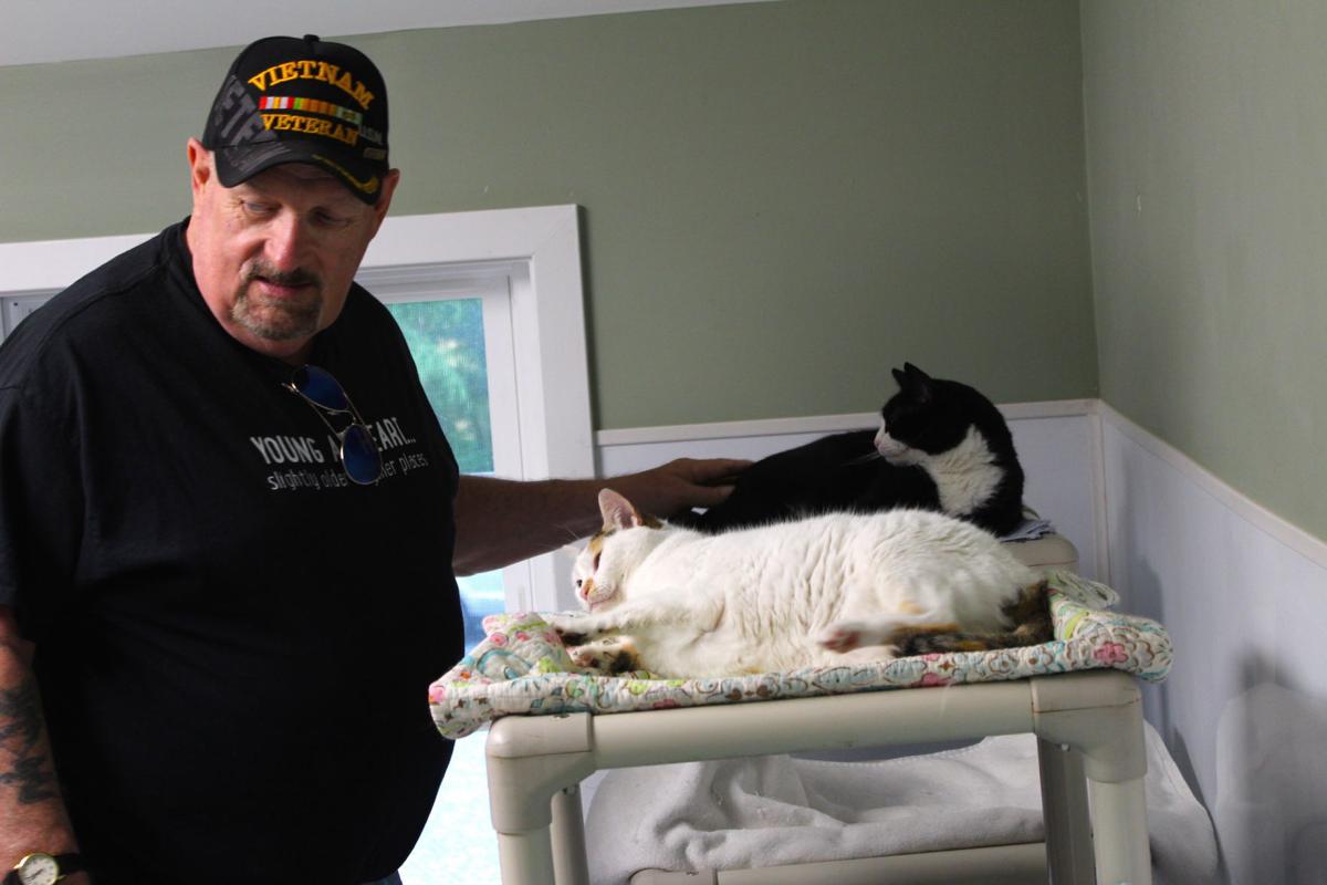 Chesapeake Cats And Dogs Hosts Flea Less Fundraiser News