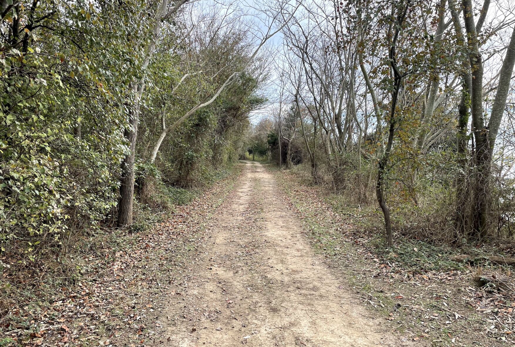 Plan unveiled for Bill Burton Fishing Pier State Park News