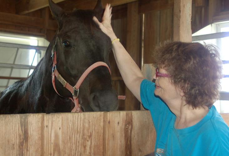 Chesterwye Center holds outing at Talisman Therapeutic Riding News