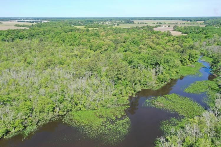 An aerial viewpoints shows Dorchester County farmland recently conserved by the ESLC 2