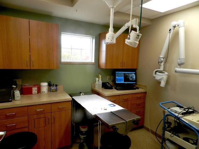 Queenstown Veterinary Hospital patients to new facility News