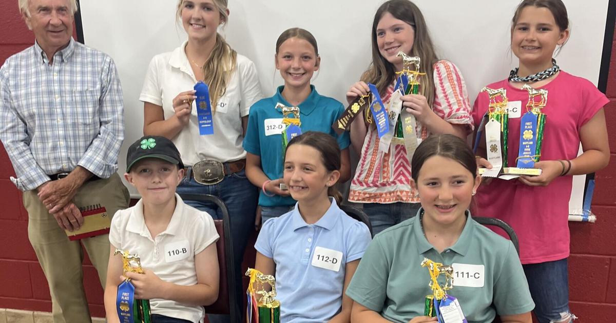 horse champs