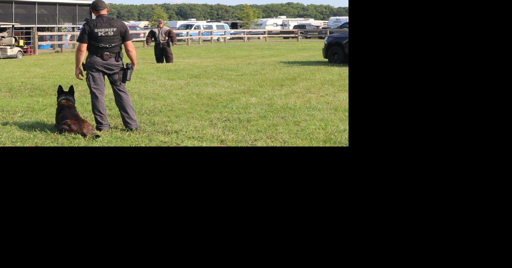 Kent County Fair brings great food, fun for all ages | Community ...