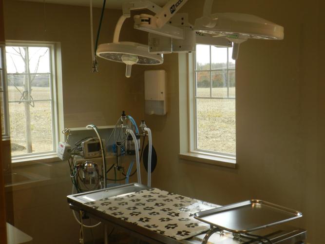 Queenstown Veterinary Hospital patients to new facility News