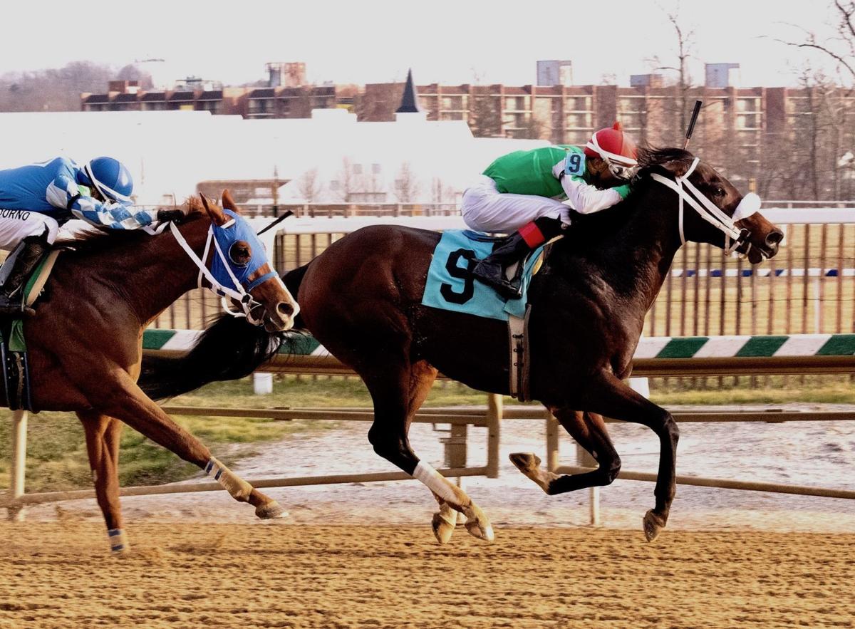 Bowman-bred gets 1st stakes victory at Laurel Park