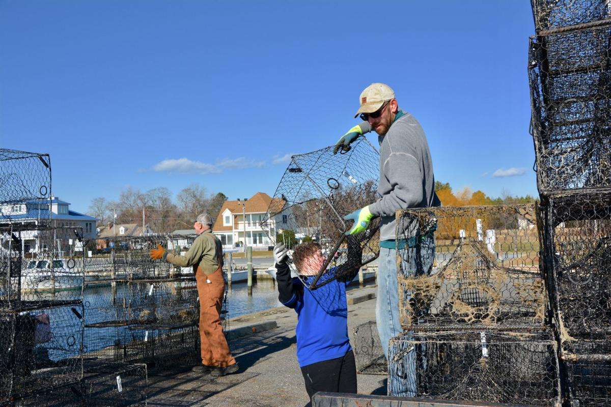 Kcn S Week In Pictures Photos Myeasternshoremd Com