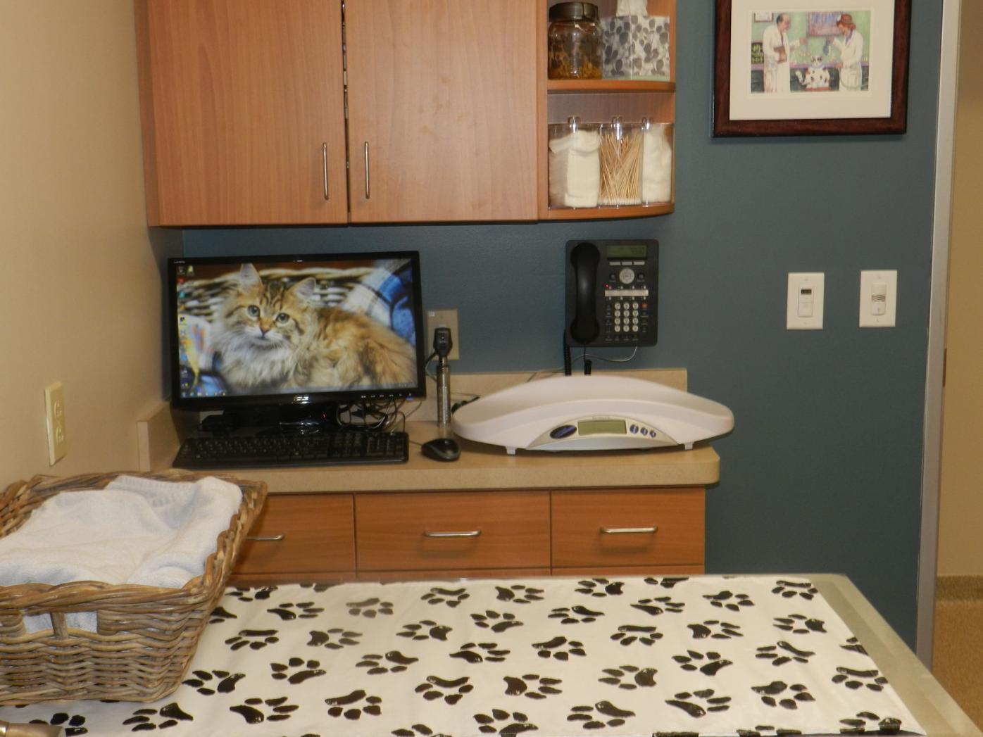 Queenstown Veterinary Hospital patients to new facility News