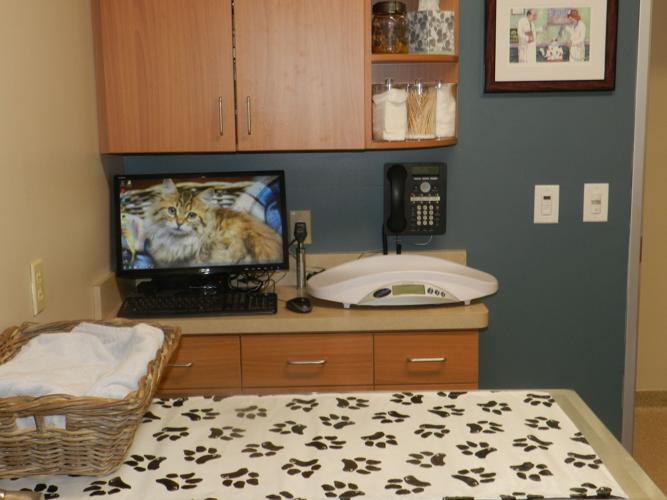 Queenstown Veterinary Hospital patients to new facility News