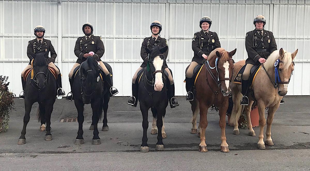 Training And Skills Of Mounted Police Officers
