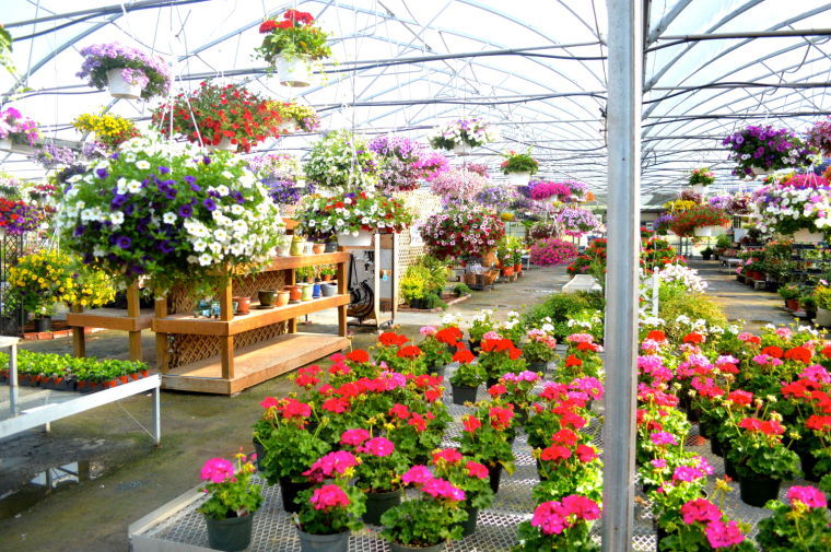 Growing on a tradition of growing Caroline County