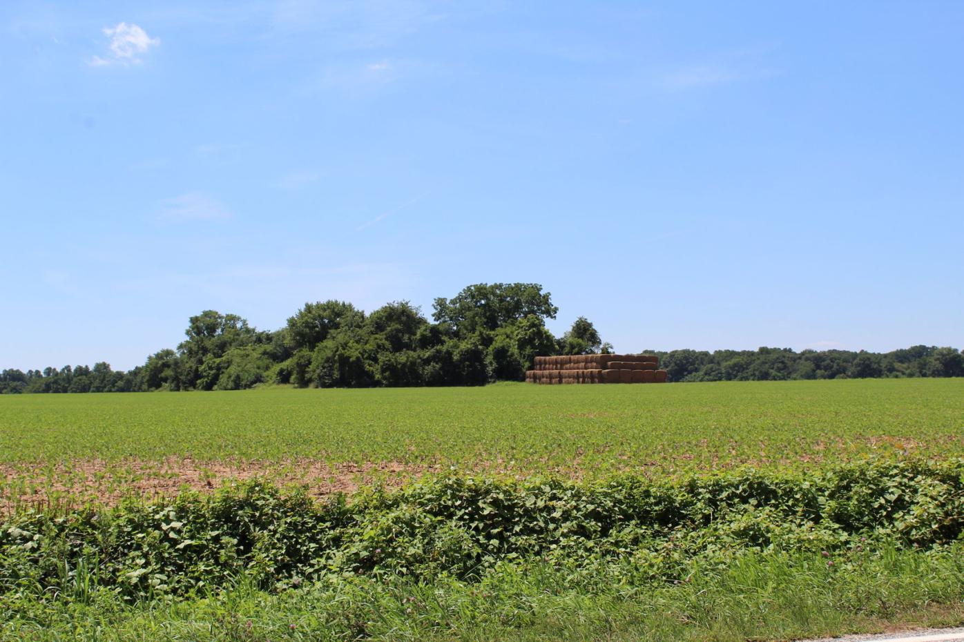 Commissioners commit to backing CDGB grant, talk Millington annexation