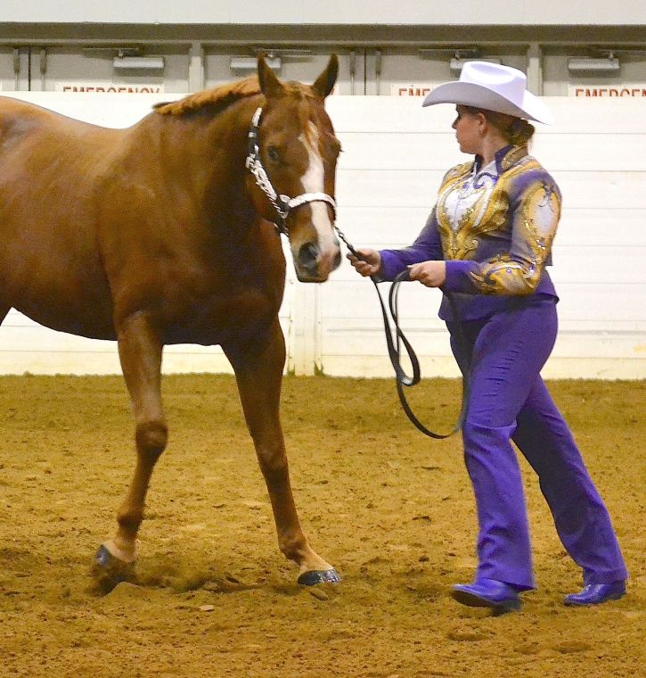 Local team attends AllAmerican Quarter Horse Congress Featured