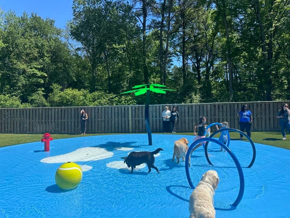 Making a splash Dogwood Acres unveils KI dog water park Business and Agriculture myeasternshoremd