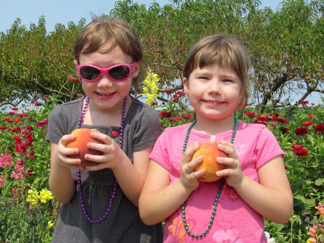 Sudlersville to hold annual peach festival Aug. 8 Queen Annes County