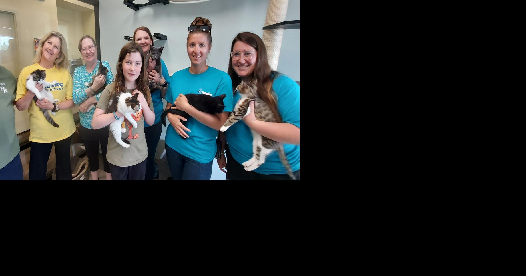 Opening homes, saving lives: Kent animal shelter looks for more foster parents