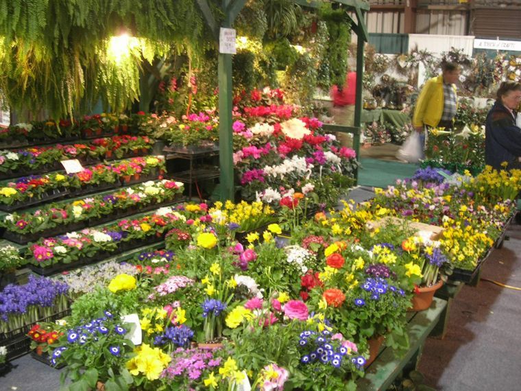 Think Spring At The Maryland Home Garden Show Local