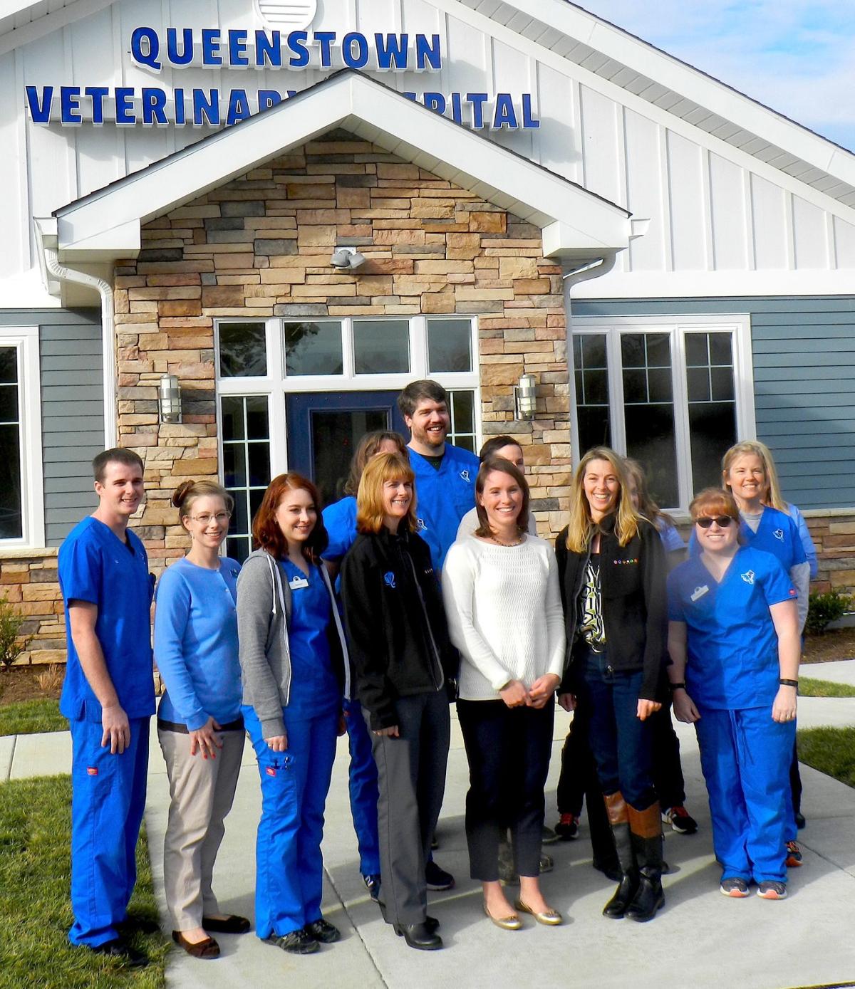 Queenstown Veterinary Hospital patients to new facility News