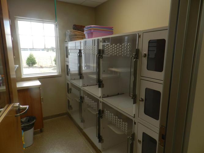 Queenstown Veterinary Hospital patients to new facility News