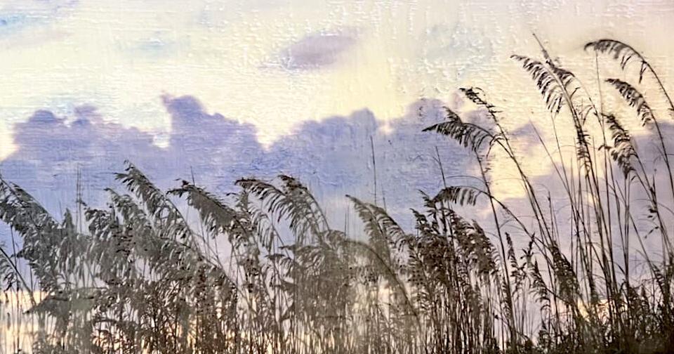 New exhibit at Main Street Gallery opens July 6 - Vimarsana News