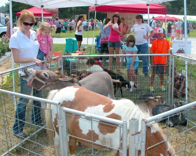 Crowd turns out for Sudlersville Peach Festival Queen Annes County