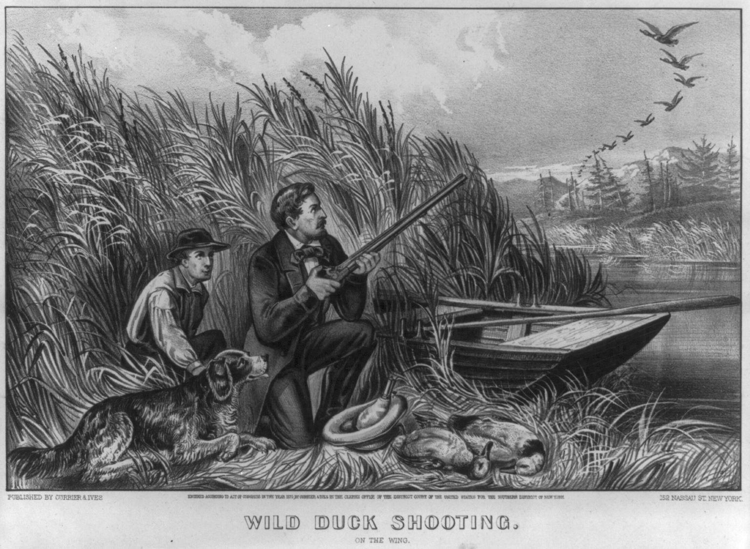 Duck Hunting on the Chesapeake Outdoors