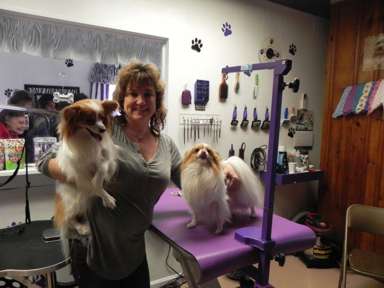 Tails Wag For Opening Of Cambridge Pet Grooming Business Tails Wag For Opening Of Cambridge Pet Grooming Business Dorchester County Myeasternsmd