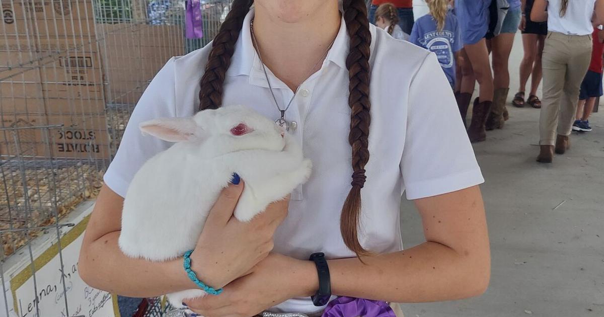 Campion Rabbit Fluffy tails and bunny trails: meet Phoebe Fritz and her champion ...