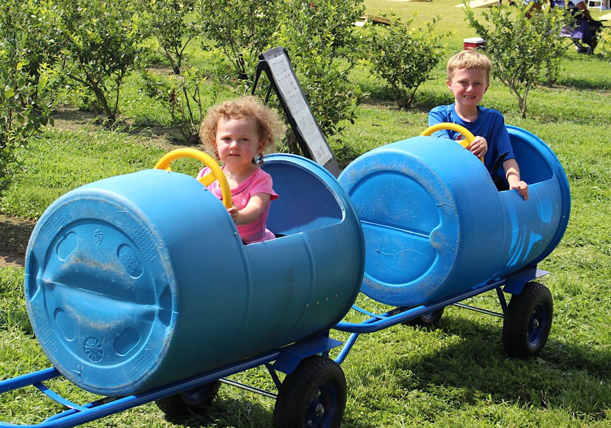 Peach Festival draws a crowd News