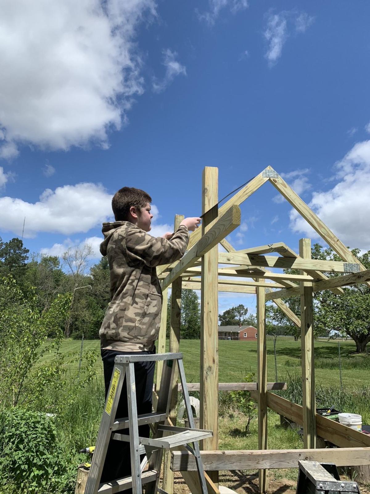 Scout Builds Feral Cat Shelter For Eagle Project Emergency