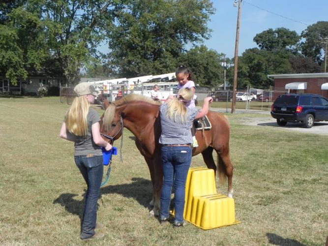 Train rides among highlights of Hurlock Fall Festival Dorchester