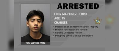 Hillsborough County student arrested for bringing firearm to school ...