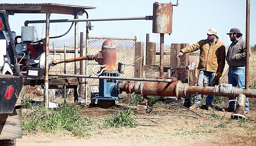 Family farm in McNeal keeping traditions alive Community