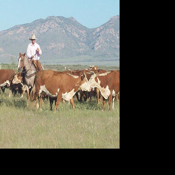 Cochise County cowboy wins 2018 NMAZ Hillerman Award Willcox Range