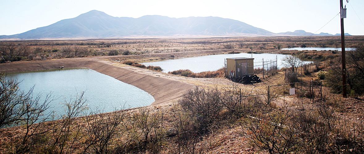 New Naco Sanitary District board faces several challenges Community