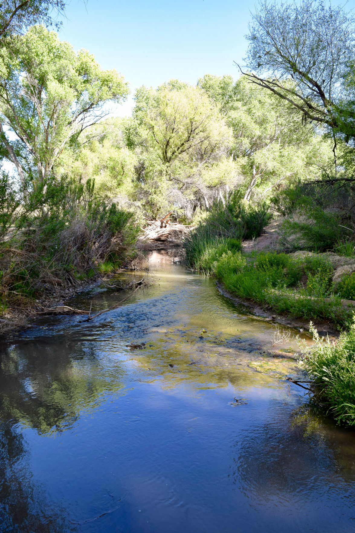 Intel Invests In San Pedro River 