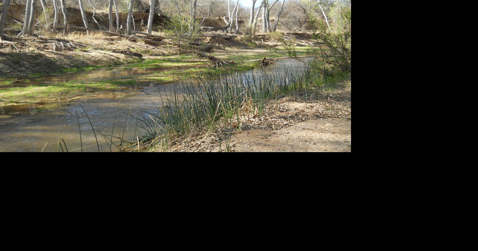 Fort Huachuca, FWS face another appeal of water credits Community