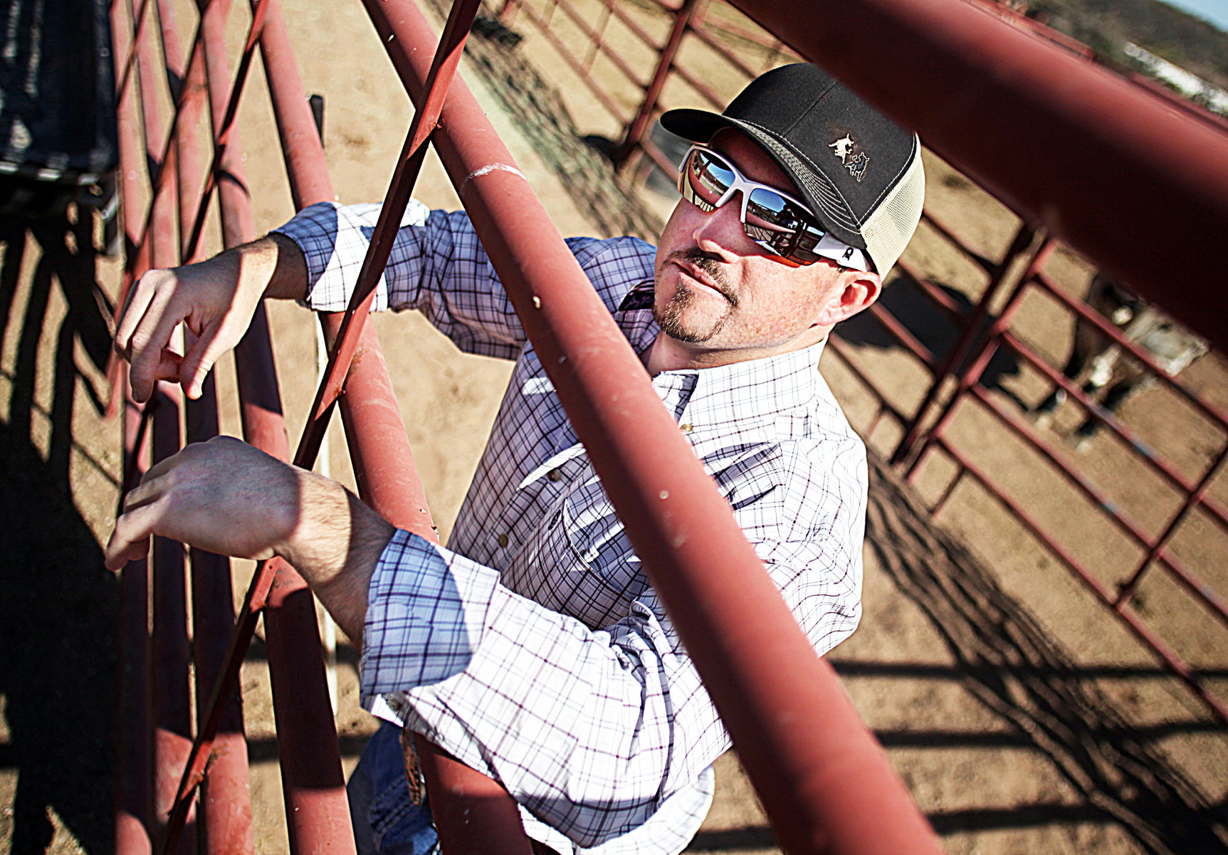 Tombstone man herds genetically engineered bucking bulls Local