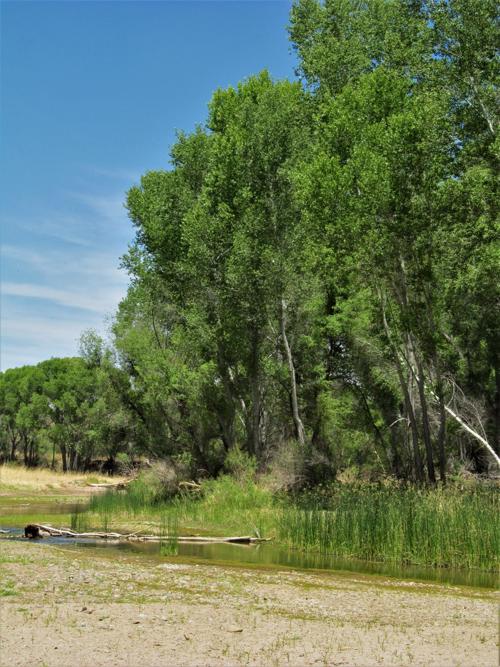 Water problems throughout Arizona recognized