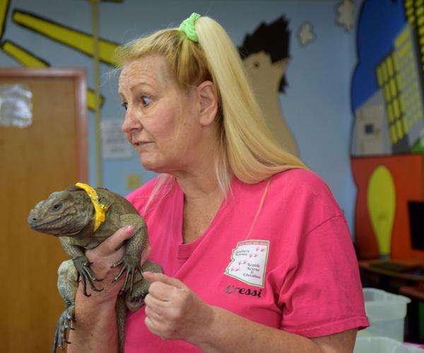 Getting up close with reptiles and amphibians | Cochise County