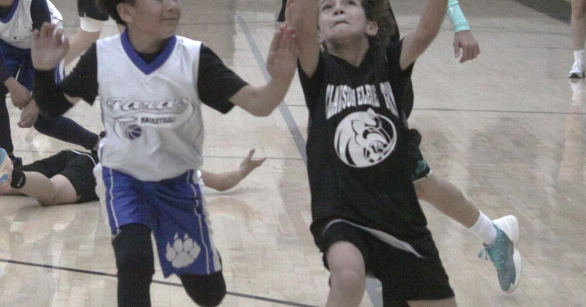 Mini March Madness comes to Douglas | Local Sports | myheraldreview.com