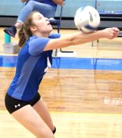 County volleyball teams set for state