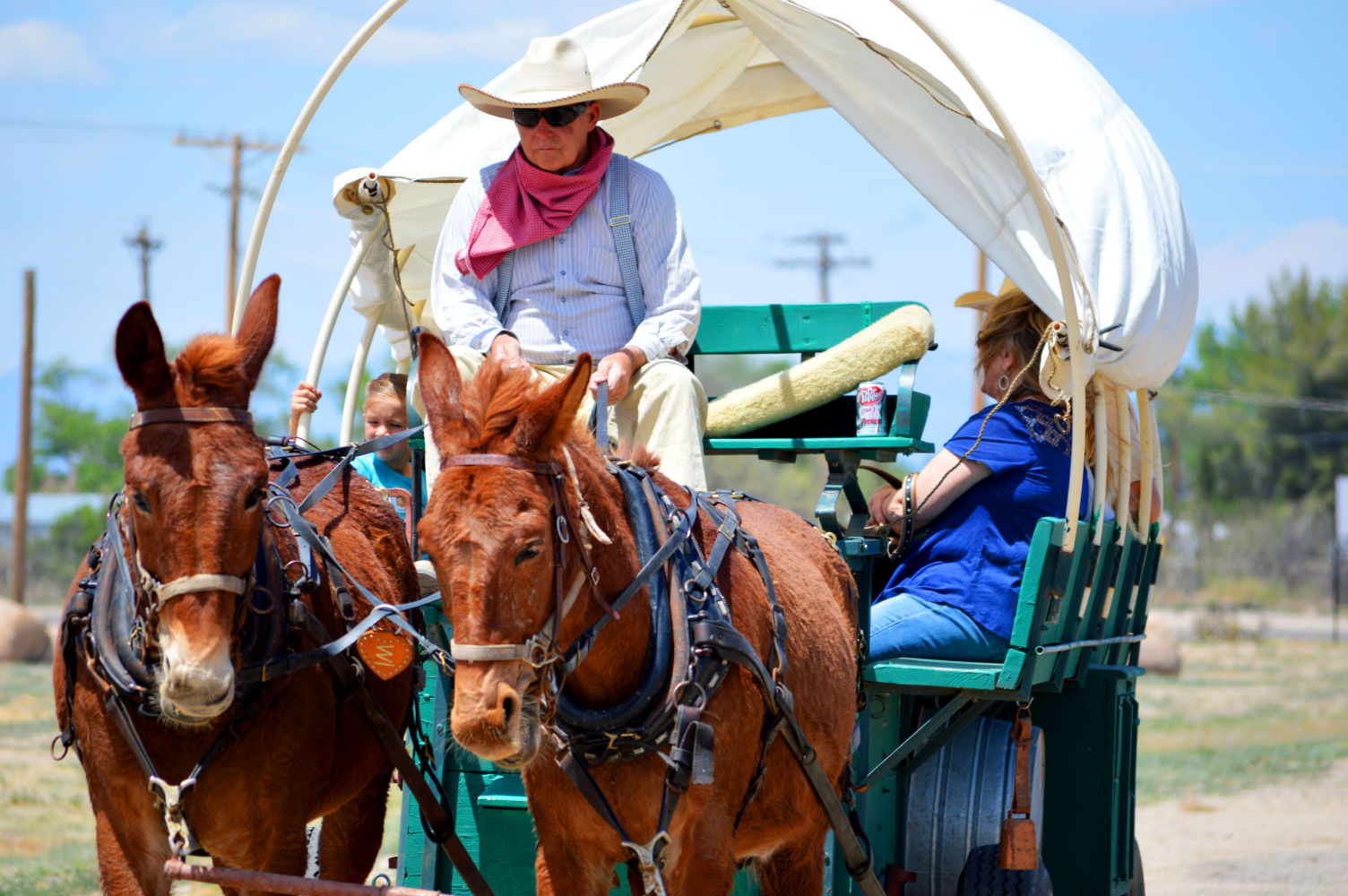 Willcox West Fest Next Weekend | Local News Stories | Myheraldreview.com